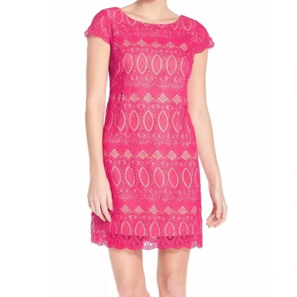eliza j pink lace dress Petite Women's Eliza J Scalloped Lace Sheath Dress, Size 2P